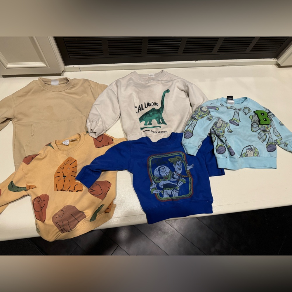 Crewneck Sweatshirt Bundle of 5 Size 2-3t